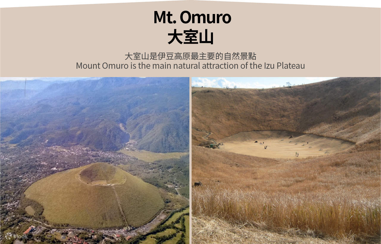 Mount Fuji & Izu & Hakone [wpsm_custom_meta type=date field=month] [wpsm_custom_meta type=date field=year] : 18% OFF - Image 10